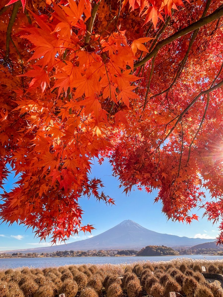 Satoshiの絶景 富士山✨🗻✨✨✨ (@fugaku_zekkei) / Posts / X