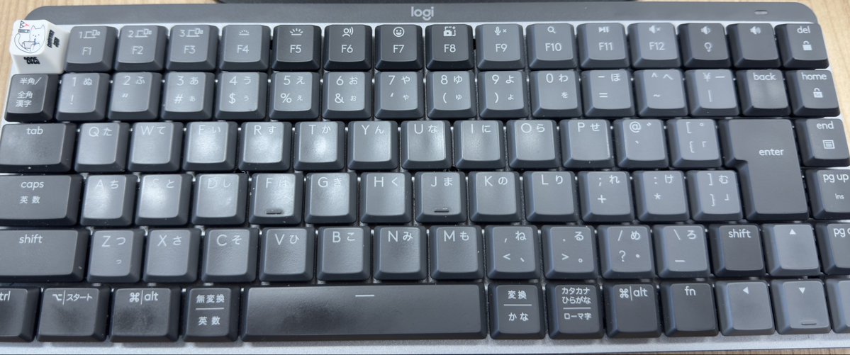 GRN_n_575's tweet image. めっちゃ可愛いやん？

デザインされた方、ありがとうございます

欲を言うと...
キーキャップ販売してもらえるとすごく嬉しいです☺️
ものすごくお気に入りです🤩

#BTCONJP 
#logicool