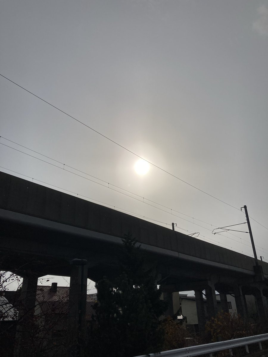 Good morning ☀️🕊️💕Afternoon 🍊
Evening 🍇 night ✨🦉