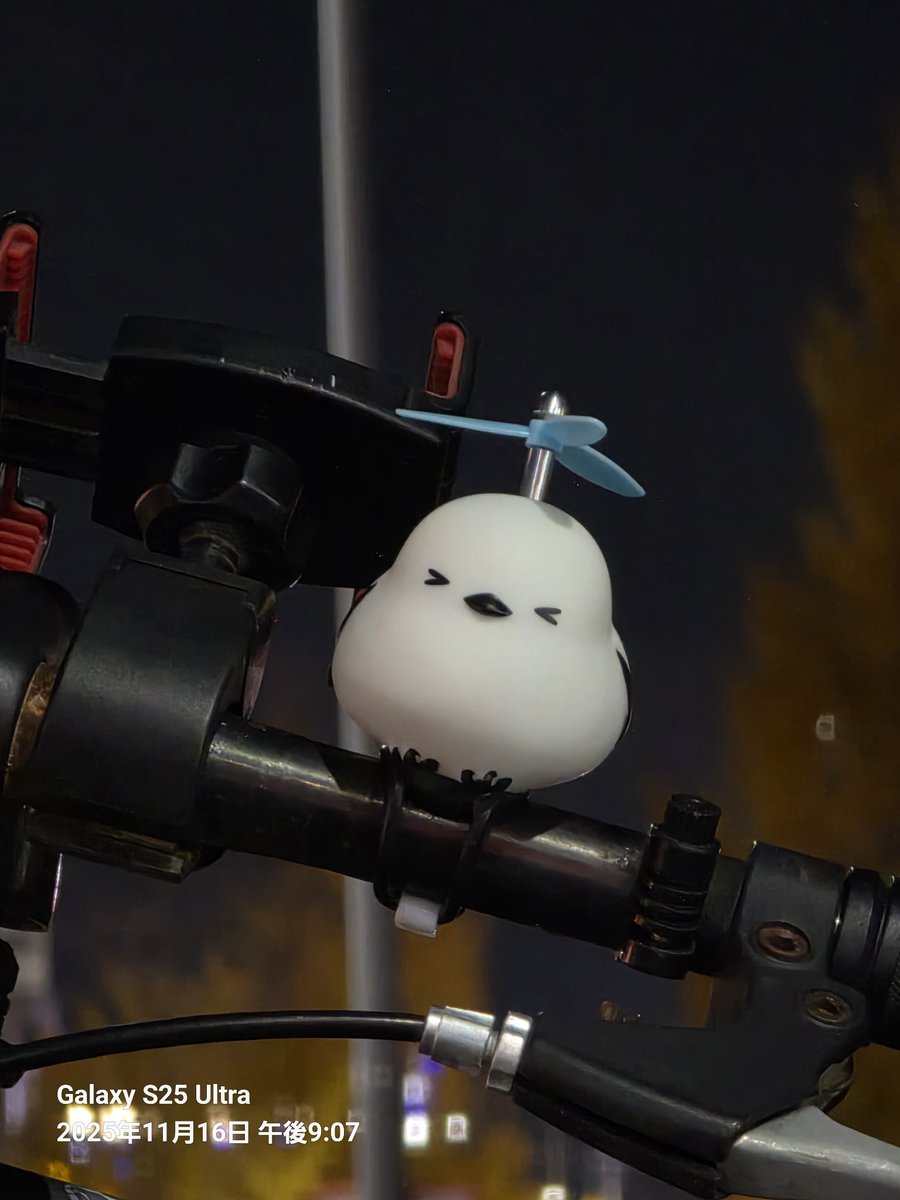 ミント♡様 そういや自転車にシマエナガを付けました