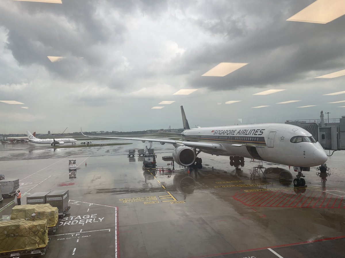 hosu_elfa's tweet photo. シンガポール空港にいます。これから羽田空港に帰ります。
ちなみに、シンガポールは雨が降っています。 https://t.co/dbuqNZk9VL