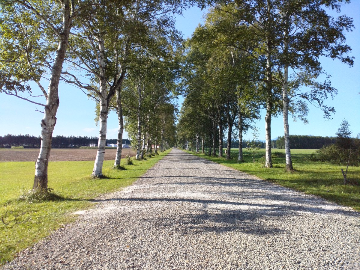 SmartControlUEC's tweet image. 🔥🚀 ついに突入！！ 🔥🚀
🌟 卒業研究，修士論文の“追い込みシーズン開幕！ 🌟
💥 この時期の研究成果の実証実験は…
📅 2026年4月下旬〜ゴールデンウィーク過ぎ！！
📍 北海道・十勝地方《大樹町》で実施！！

⚡️🔥 準備を加速させて，いざ十勝の地へ！！ 🔥⚡️

#uec23 #電気通信大学 #大樹町