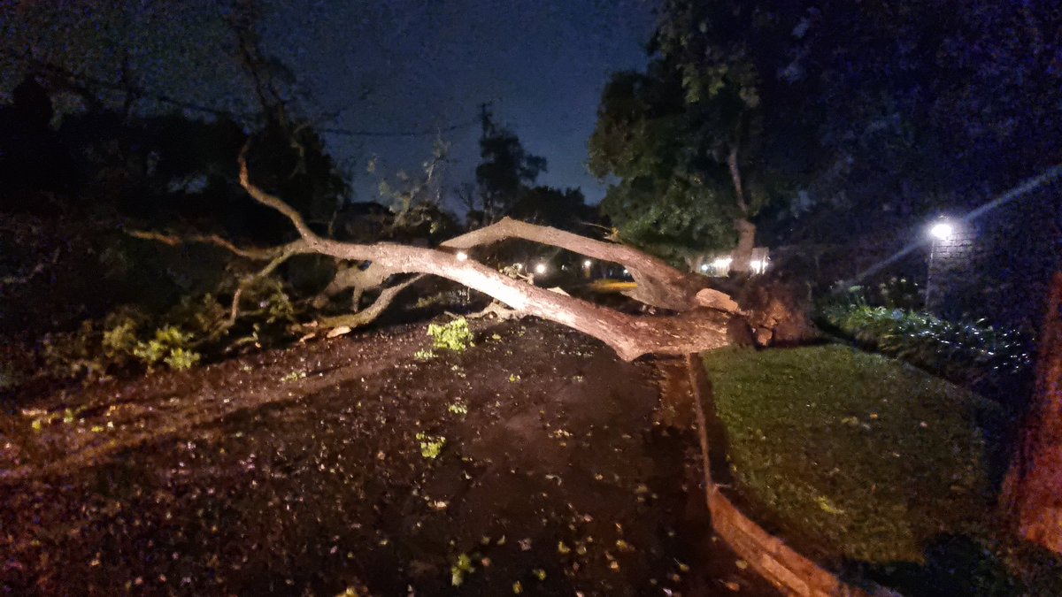 Heavy rains and windy conditions over Johannesburg continue today. Be careful out there. Sometimes even big old trees in Greenside don't make it.
#weather #storm