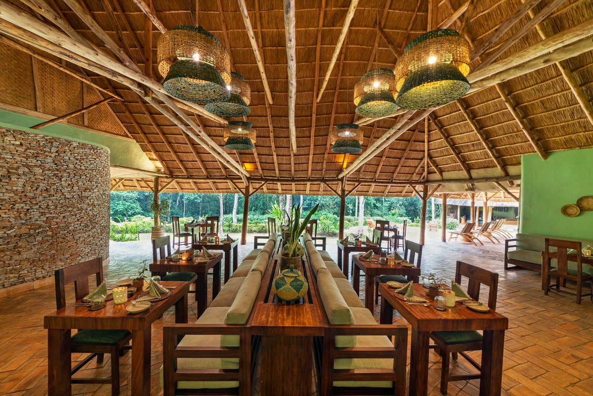 rwotoriba's tweet image. Discover the Magic at #Primate #Lodge #Kibale!

Wake up to misty mornings, fresh air, and Chimps calling. Your private cottage - warm teak, crisp linens, a veranda mere steps from the canopy, cradles you in luxury. Night falls, and the jungle sings.

Book today! @_GL_Collection