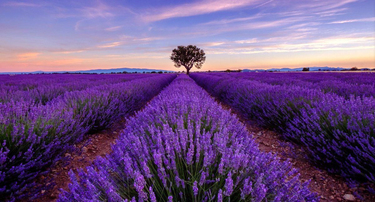 HAYIRLI BEREKETLİ HAFTALAR OLSUN İNŞALLAH
,