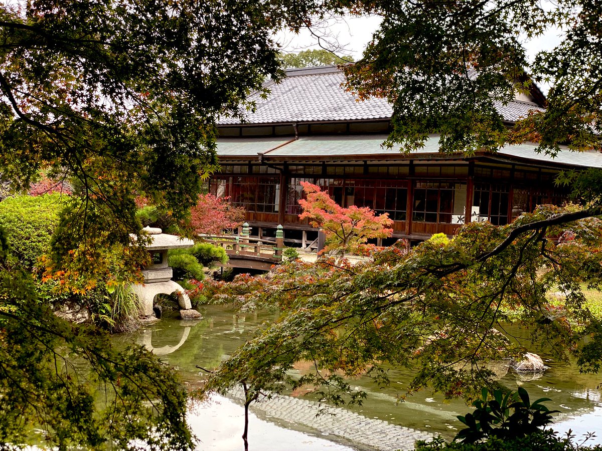 まだ緑のところもあるけど、私はこれくらいが好き。

11月29日(土)の夜追加ライトアップがあるみたいで行くことにした🍁楽しみ✨

#長府庭園