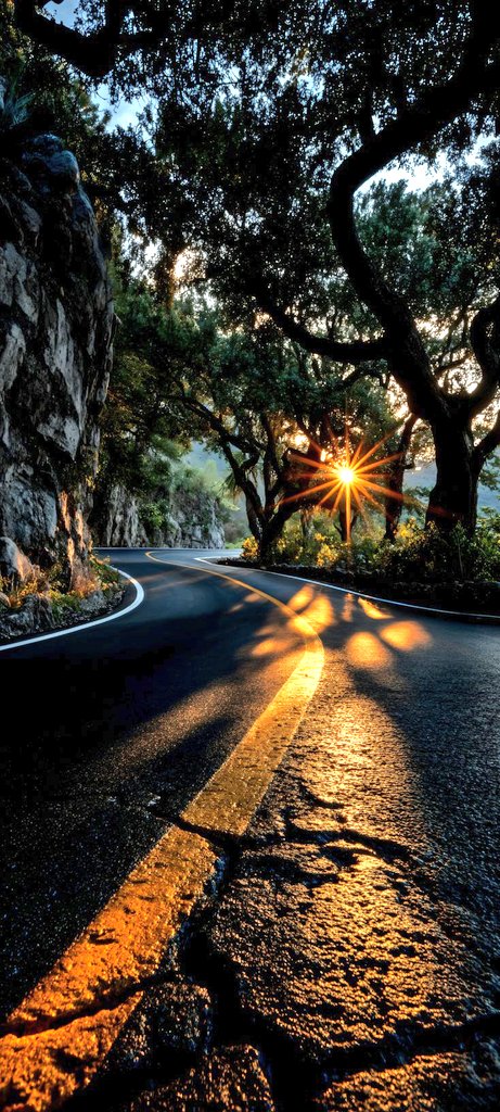 İyi düşünüp, güzel şeyler söylediğimiz ve bizi mutlu eden haberler aldığımız bir hafta olsun..🙏🏻🫶🏻
#Günaydın 🕣
#MutluHaftalar 🌍