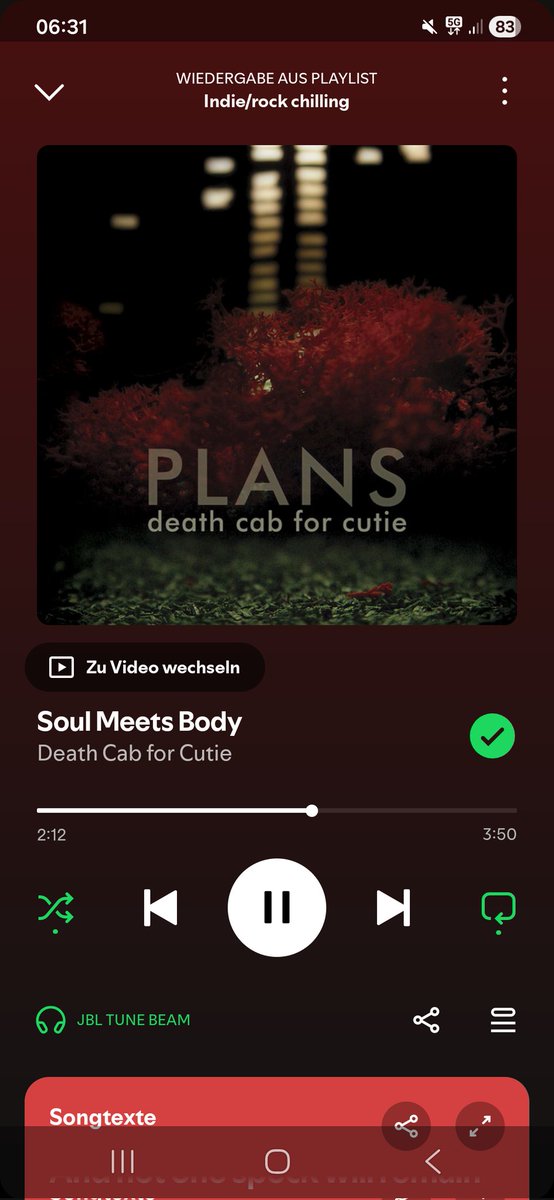 ꜱᴛᴇᴠᴇɴɴᴏᴡ tweet media