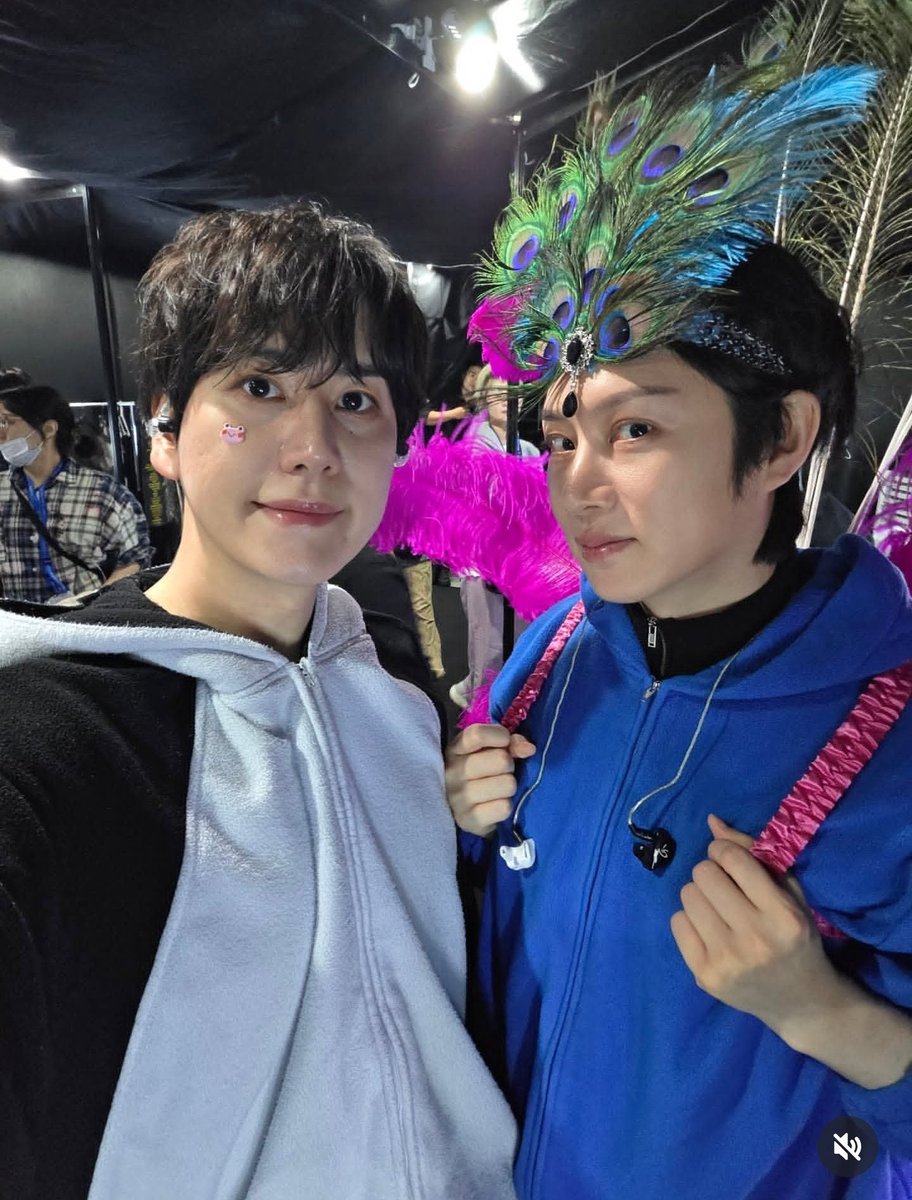 iresineherbstii's tweet image. These two cutie birds 🐧🦚