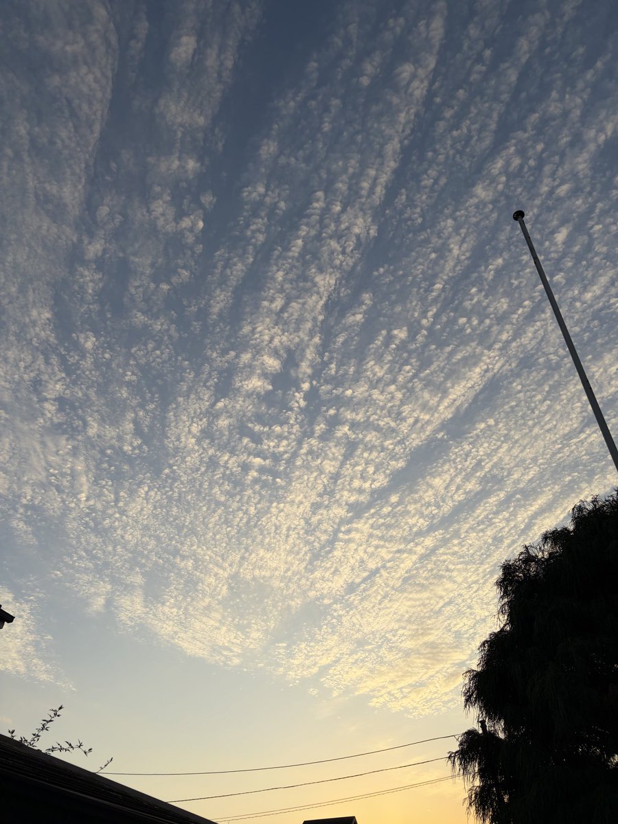 見事な「うろこ雲」だ！