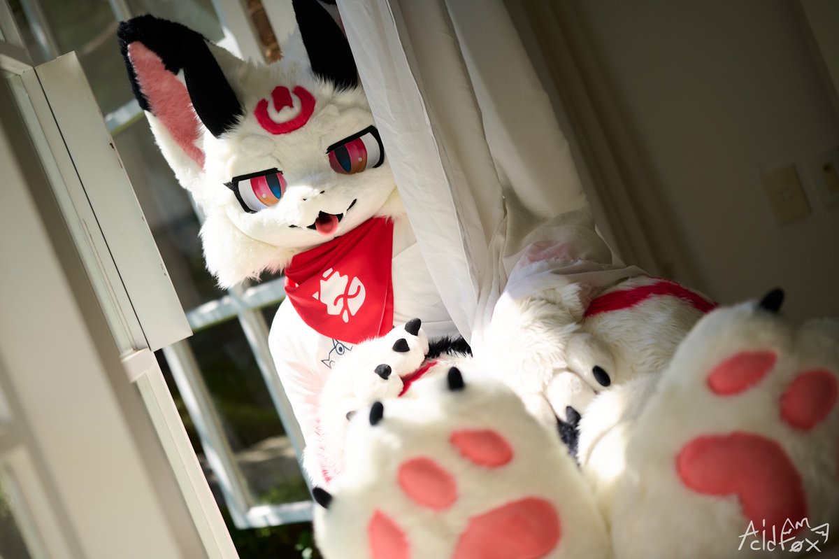 🤍🖤♥️
저랑같이 누워요~~
♥️🖤🤍

📸<a href="/_f0x15/">산여우 AcidF0x</a> 

#FursuitEveryday