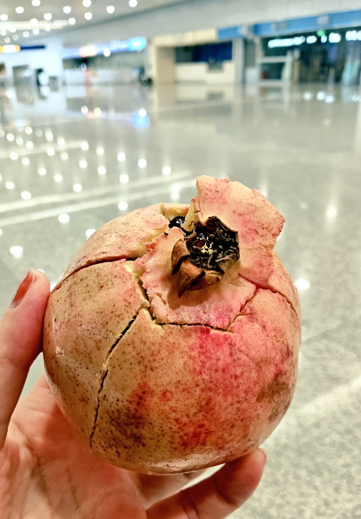 柘榴 柘榴が大好きなので旅先で見かけたら食べるようにしてる 大抵の国は