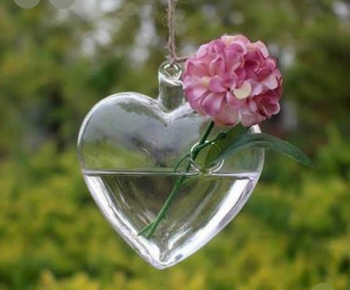 لا تتغيّر لتبدو نقيا
كن كما أنت صادقًا شفافًا
فالنقاء لا يُصنع بل يُستعاد
الذين يختارون النقاء لا يخسرون أبدًا
بل يعودون في النهاية إلى الله كما خرجوا منه أول مرة
خفافًا من كل شيء إلّا من الصدق

#صباح_الخير 
#ومضات 
#كلمات 
#بقلمى 
#هدى_صادق
#مشارق
#خاطرة
#صباح_الأشياء_المُشرقة