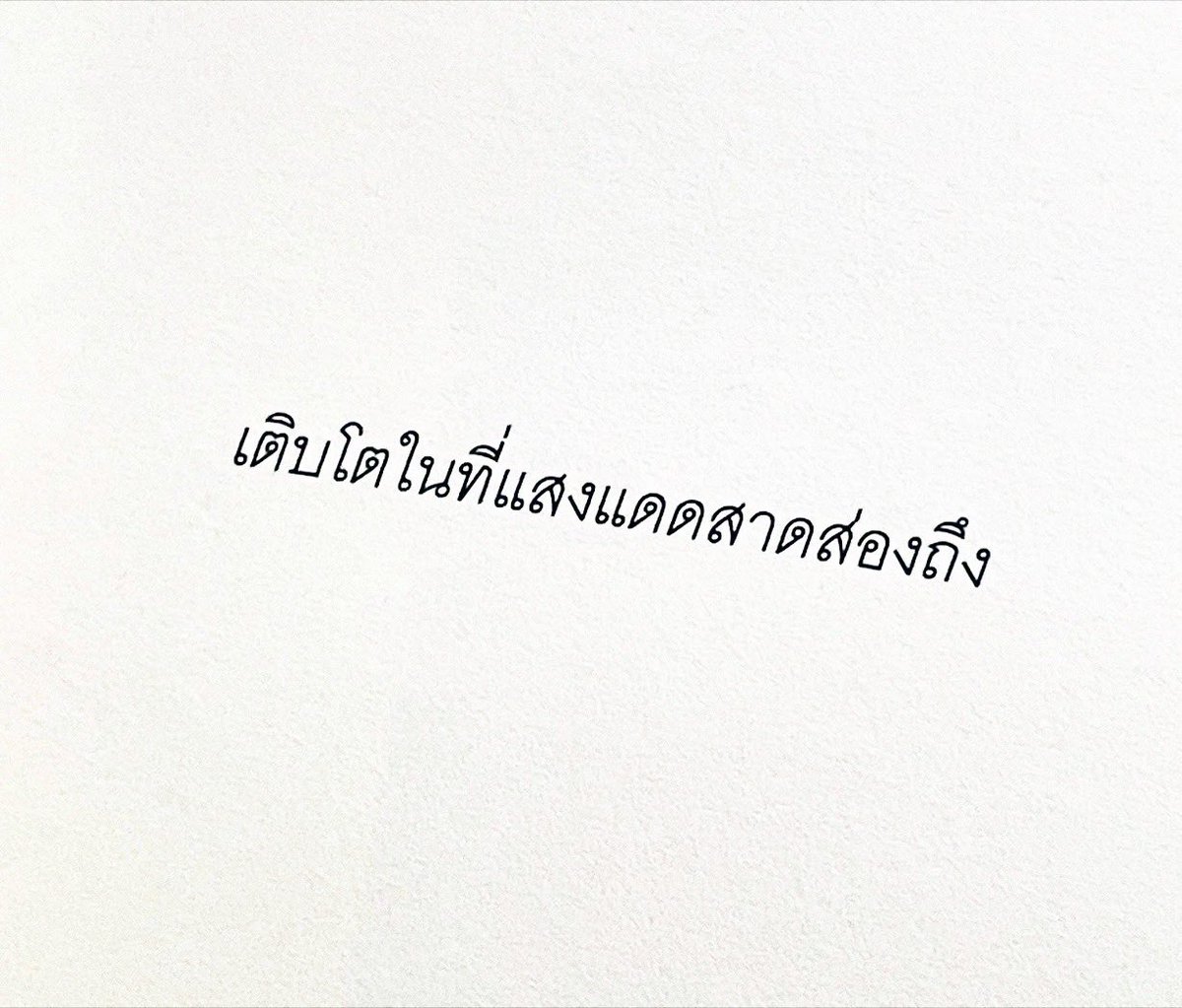 กลิ่นหนังสือ (@klinnangsue) on Twitter photo 