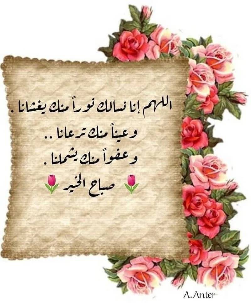 ياسر الدسوقى (@z1dstwcwddjcvjg) on Twitter photo 