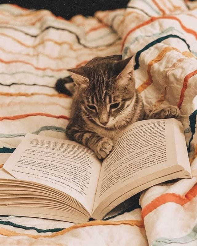 "Eğer dinlemek istersen, kitaplar seninle konuşur.
Yanı başında öyle sessizce boş boş yer kapladıklarını düşünme.
Her şey onları eline almana bakar.."

📝Ahmet Batman