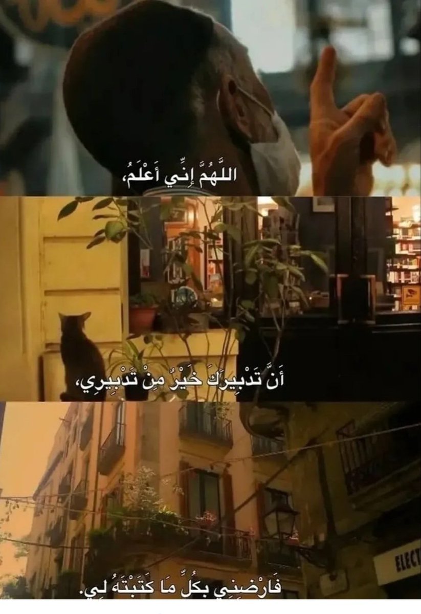 ياسر الدسوقى (@z1dstwcwddjcvjg) on Twitter photo 