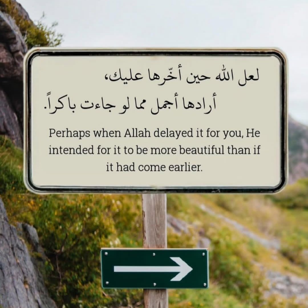 ياسر الدسوقى (@z1dstwcwddjcvjg) on Twitter photo 