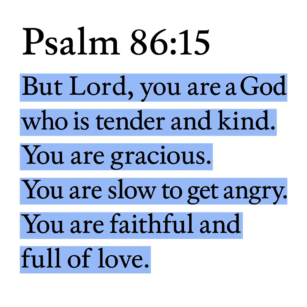 Biblical Advice tweet media