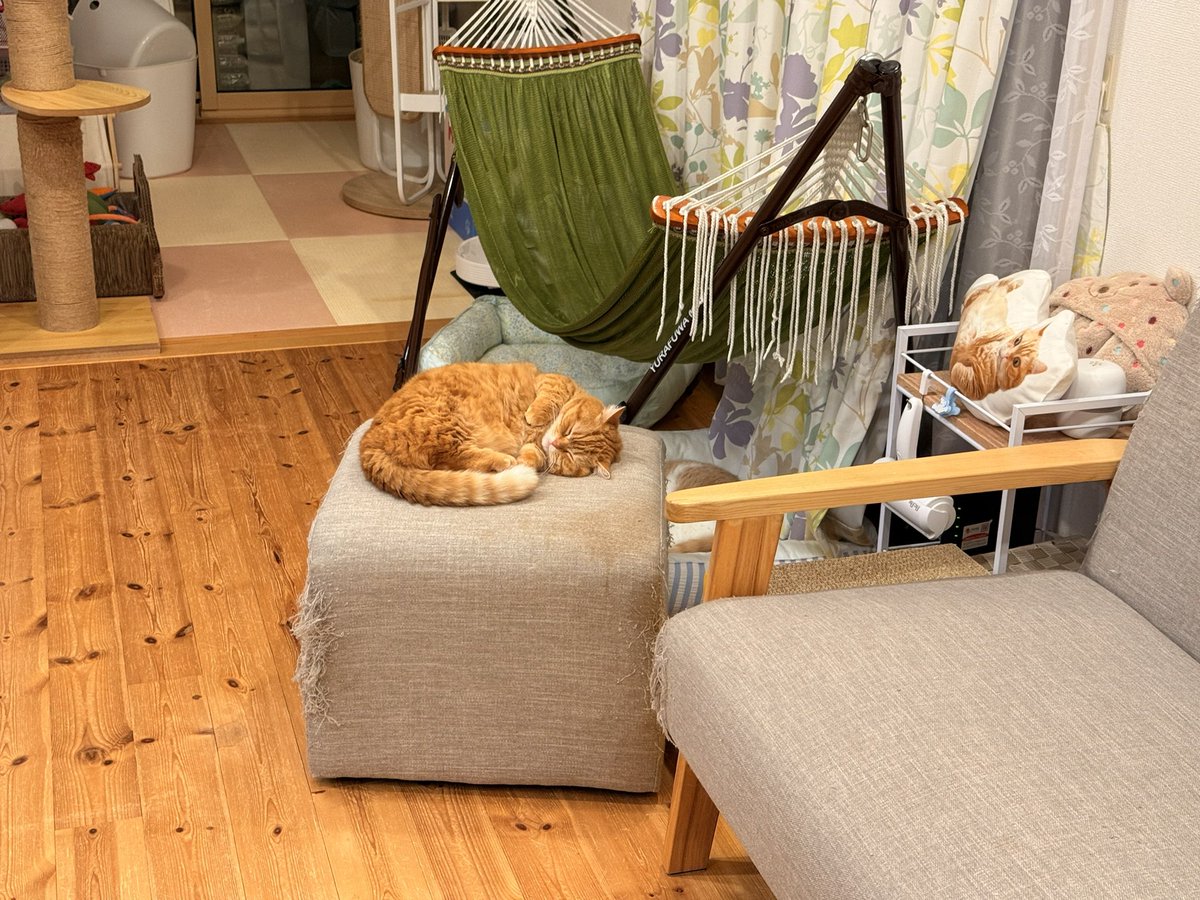 お出迎えが100点