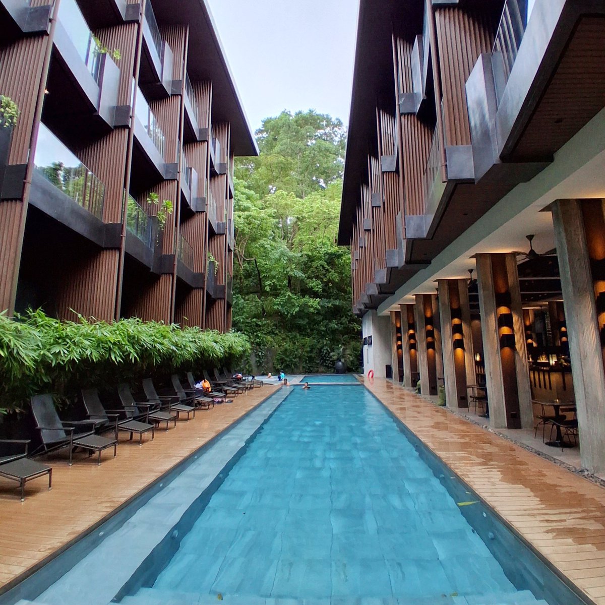 Mark M. Monta tweet media