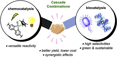 GNC_2026's tweet image. Ready for breakthrough science?

The Biocatalysis &amp;amp; Biotransformation Congress 2026 lands in San Francisco on March 30–31!

Network, discover new technologies, and dive into cutting-edge biocatalysis research. 

Website: biocatalysiscongress.com

#Bio2026 #Biocatalysis #Innovation