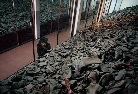 rivkahbrown's tweet image. 