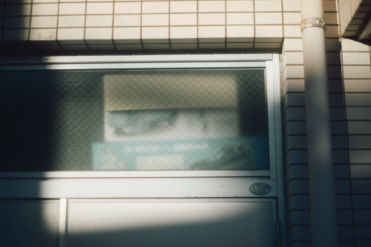 mukimukicamera's tweet image. 