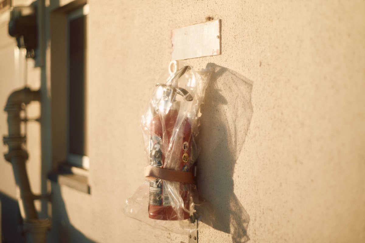 mukimukicamera's tweet image. 