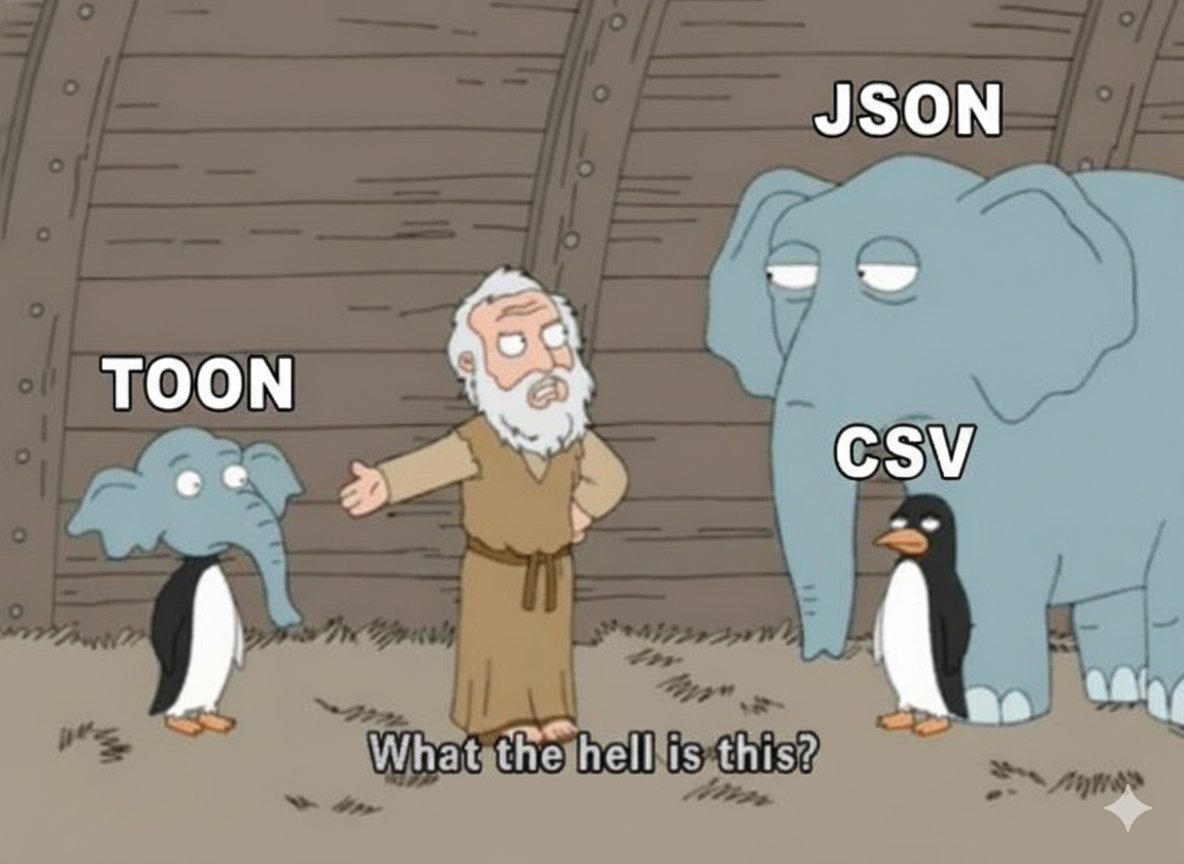 Have you heard of TOON?