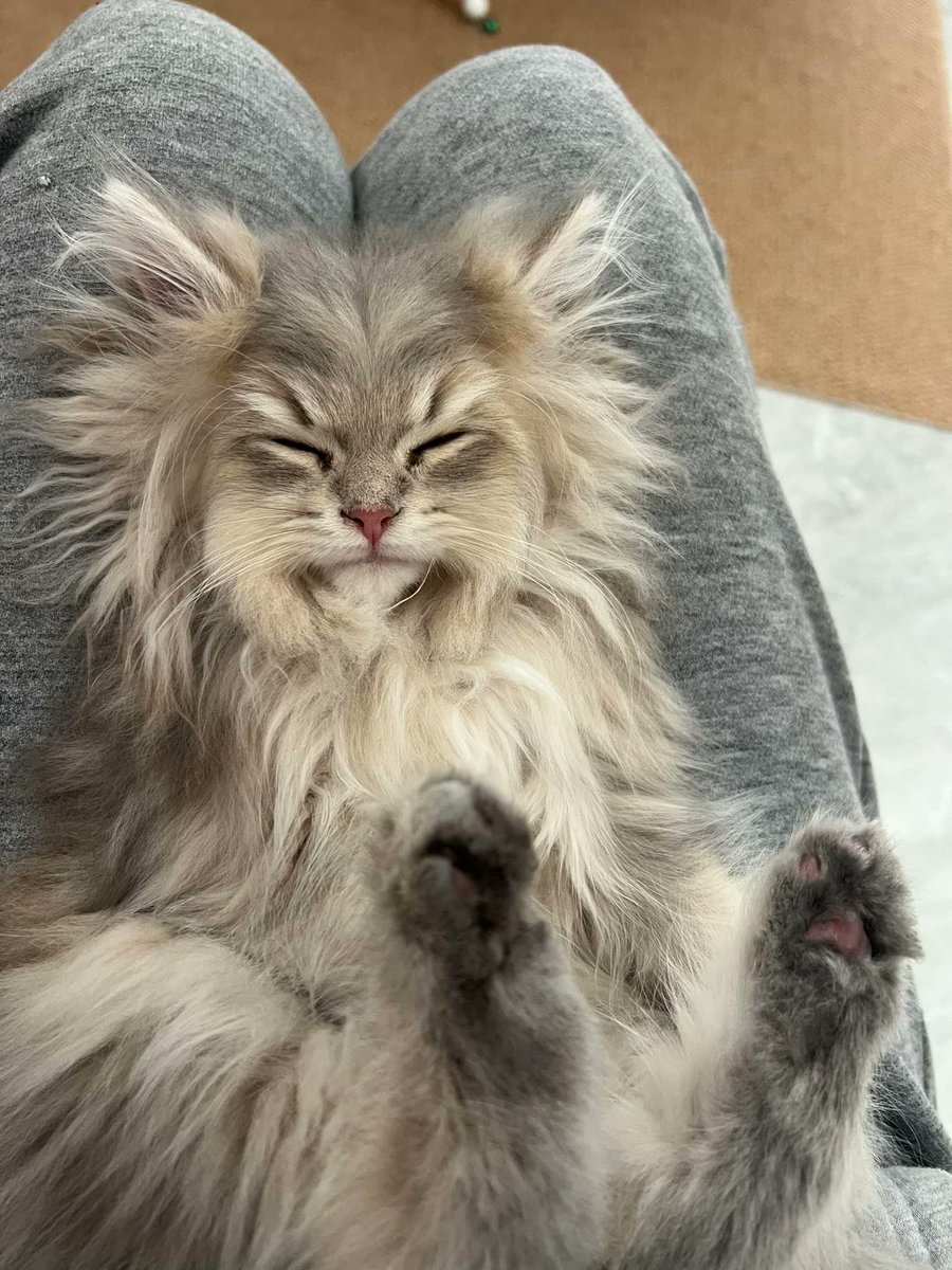 Funny Depository😁 tweet media