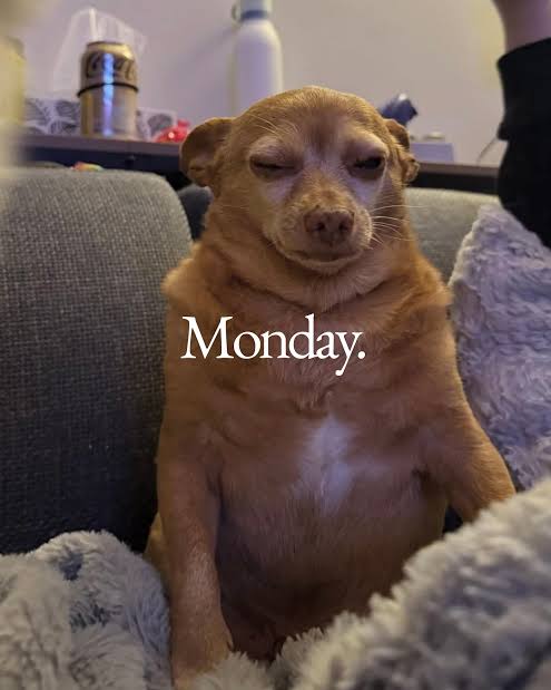 Good Monday morning Patriots! 🇺🇸 I know, not our most favorite but we got to start somewhere to reach our goal. Be safe today! 🙏☕☀️👊😁