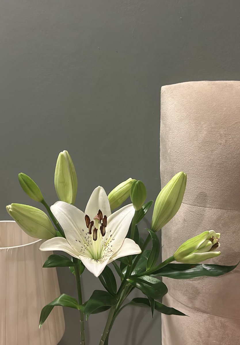 رُبَى tweet media