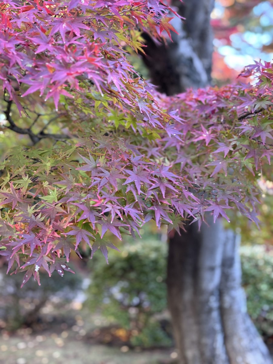 今日もお疲れさま！自分！みんな！
憂鬱な月曜乗り切れたね！
今日はゆっくり休んで明日に備えよー