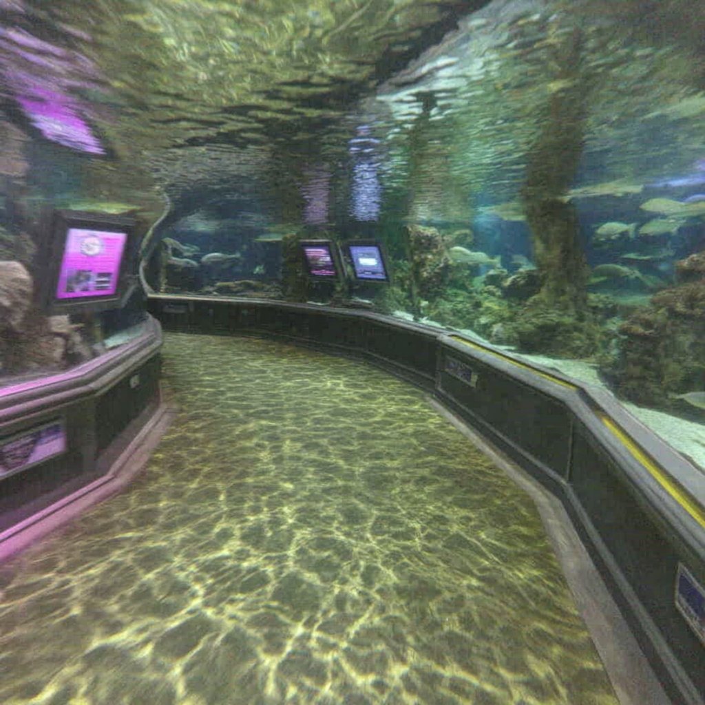 Liminal Space (@liminal_s) on Twitter photo 