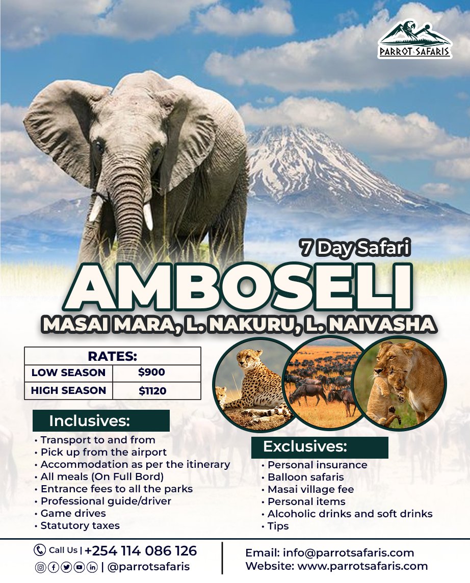 ParrotSafaris's tweet photo. Witness the magic of Amboseli, Masai Mara, Lake Nakuru &amp; Lake Naivasha in one epic 7 Days Group Joining Safari!

Book your adventure Today!
Call Us Today: +254 713 978 154
Email Us: info@parrotsafaris.com

#parrotsafaris #amboseli #kenyatours https://t.co/Xv1DVH4p4m