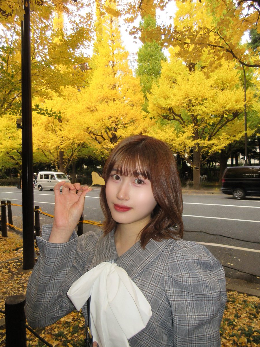 anjouyuna0101's tweet image. 明治神宮外苑 いちょう並木🍁