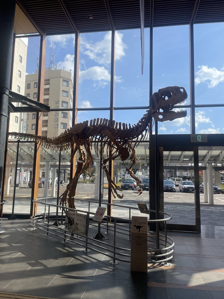 Mori_Labo_univ's tweet image. 東京→埼玉→京都一時帰宅→東京→神奈川→福井→帰宅　2週間くらいあちこち行ってる間に11月が折り返してます…