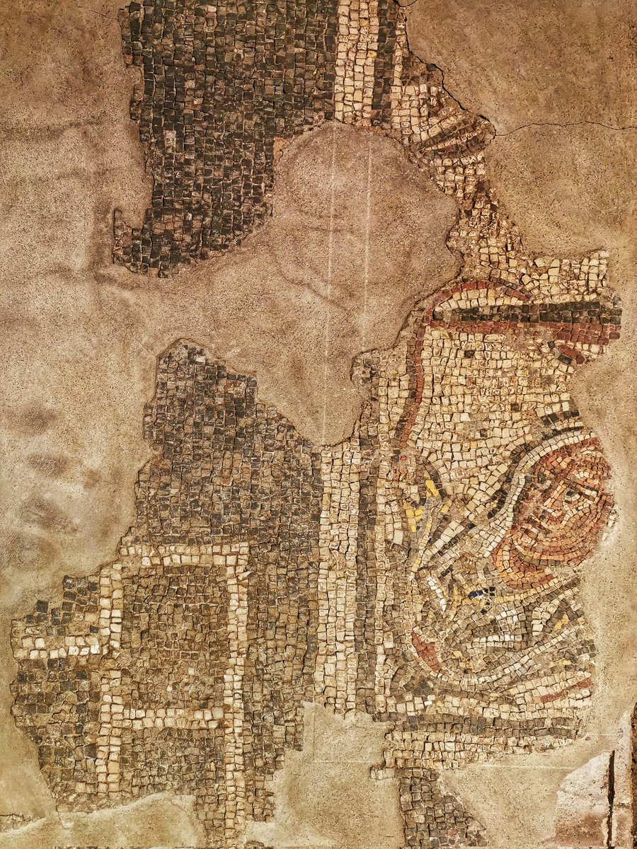 For #MosaicMonday we're underground to discover the aristocratic district of #domus around the #Lateran in #Rome, including this C3-C4 CE #mosaic in a small house next to the #DomusAnniorum. The human bust emerging from an #acanthus plant is a Season, probably Winter.