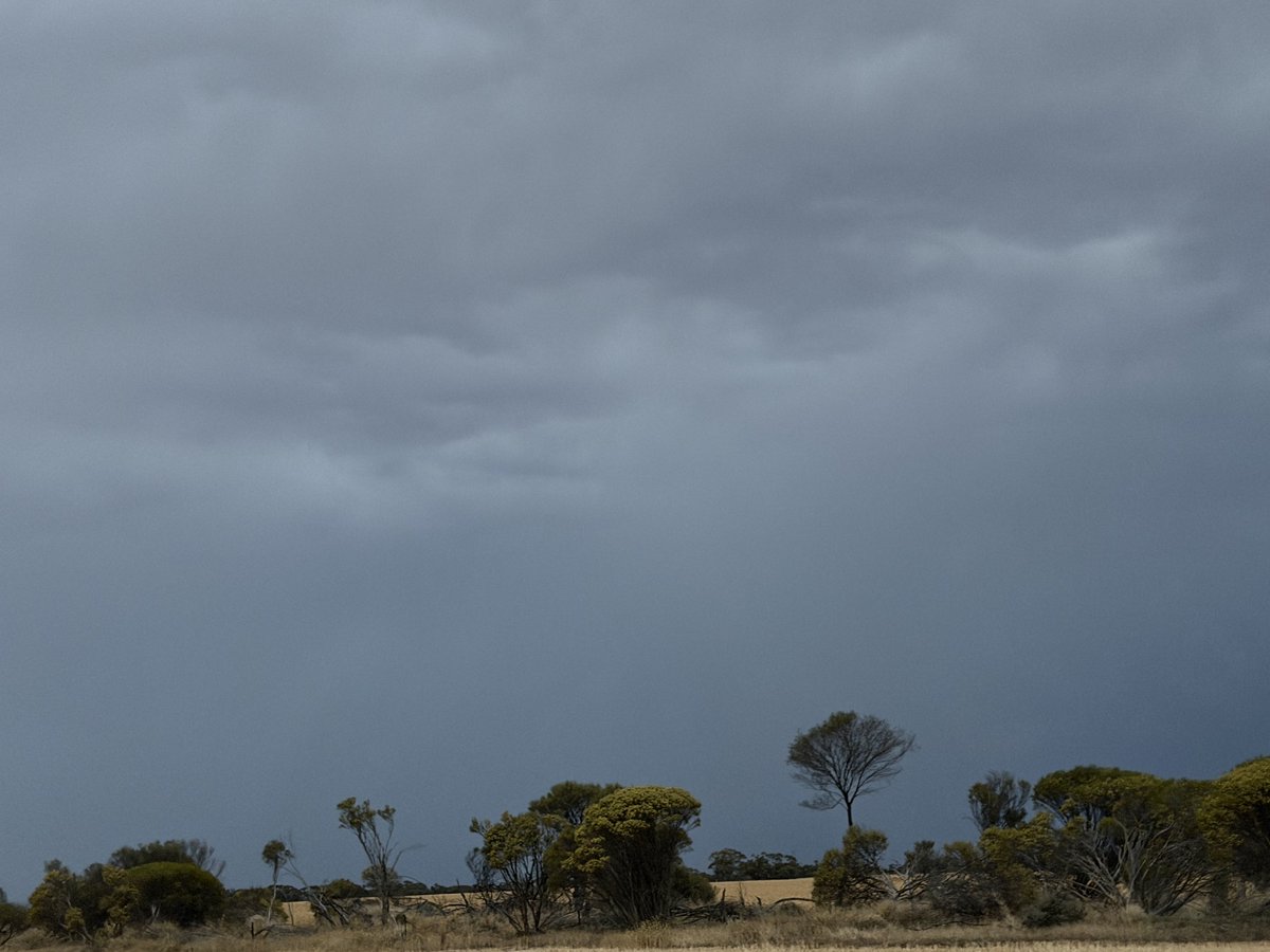 Holly Fck, methinks the gods are going to open up soon