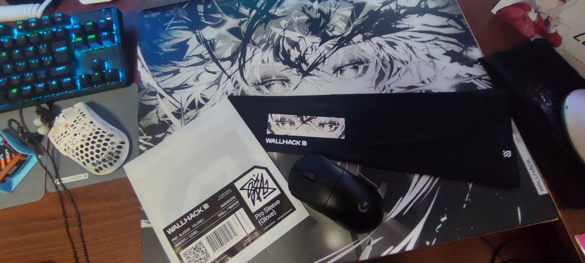 WALLHACK 
PRO SLEEVE - AWAKENING SORA
#WALLHACK