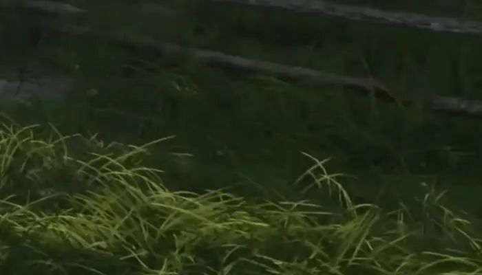 Do you know this game? 
GuessThe.Game/p/1283 #GuessTheGame