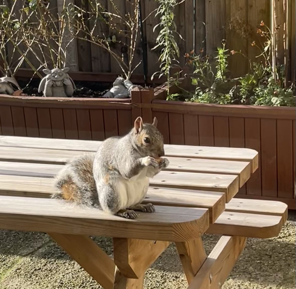 il vient réclamer dix fois par jour lui