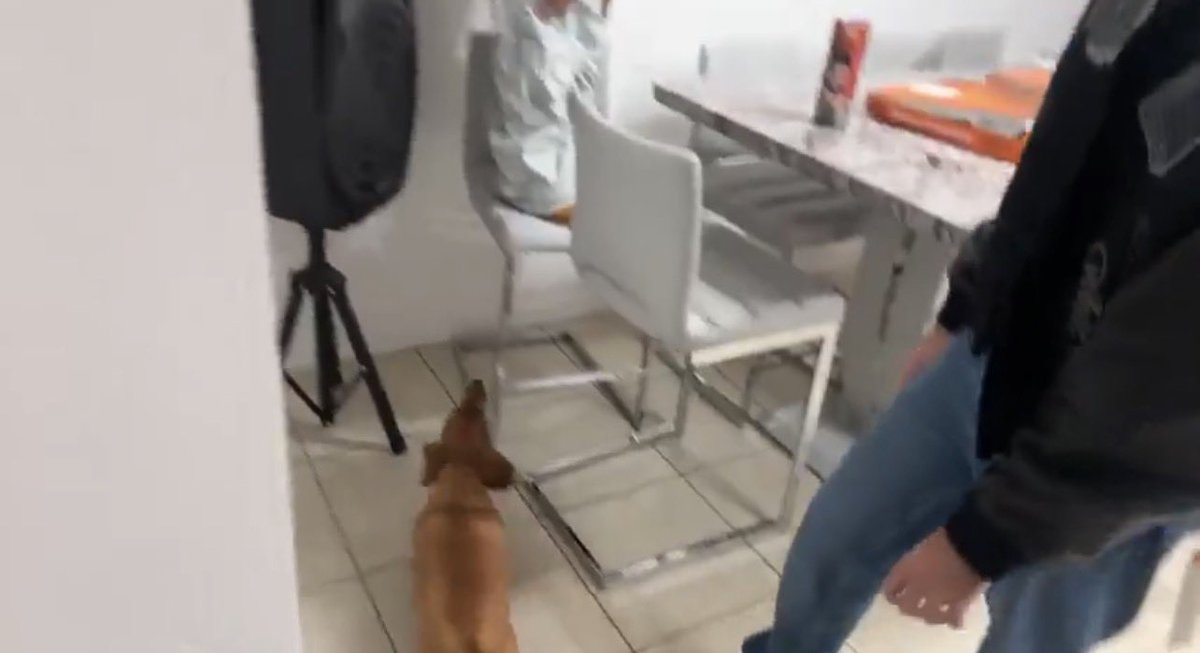 chrislanera's tweet image. la forma en la que loqui DETESTA a Aron JWKKSGNAKFH xfavor, lo que me cague de risa en todo el stream no tiene sentido