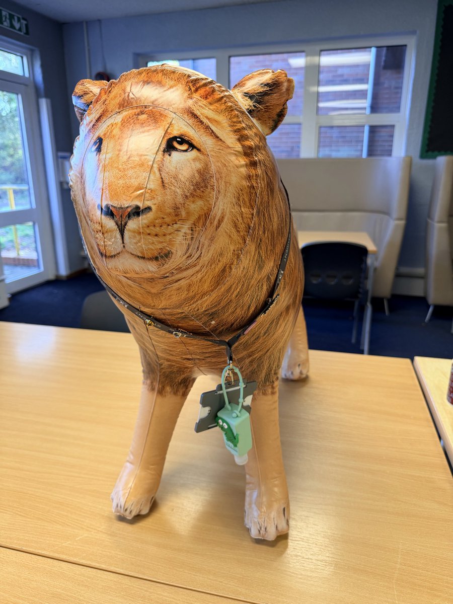 Our new student Tom Cat. Has joined BC6 today.