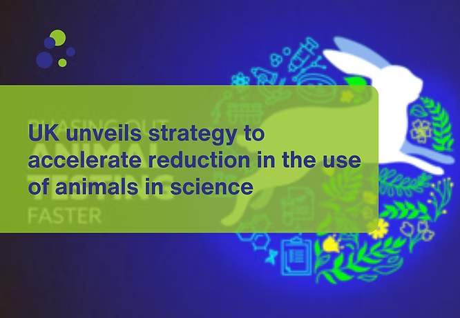 EARA_PL's tweet image. 🇬🇧 UK inwestuje 75 mln funtów, by przyspieszyć rozwój alternatyw dla badań na zwierzętach — tam, gdzie są one bezpieczne i skuteczne. Jednocześnie podkreśla, że w części testów, np. nad szczepionkami, zwierzęta wciąż są potrzebne.
#AnimalResearch #3Rs #UKScience #EARA
