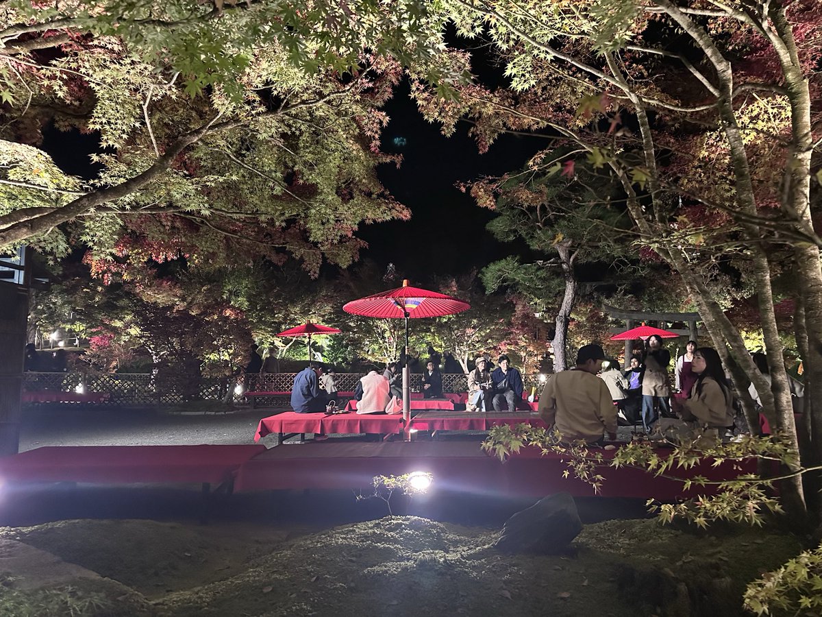 紅葉で有名な京都の永観堂🍁
今年のライトアップが始まった15日(土)に行ってみましたが、まだ早かったです。
3,000本のモミジがあるようなので、全体が赤く燃える庭園をいつかは歩いてみたい！

#京都 #紅葉 #永観堂 #ライトアップ