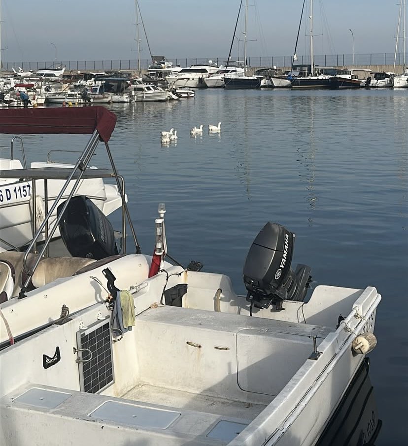 Bir kareye kaç güzellik sığar../✍️ 💙