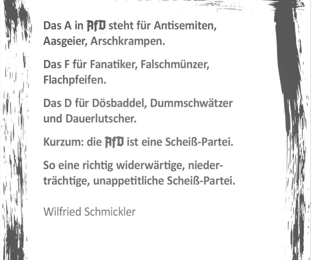 netzfund.... #noafd
