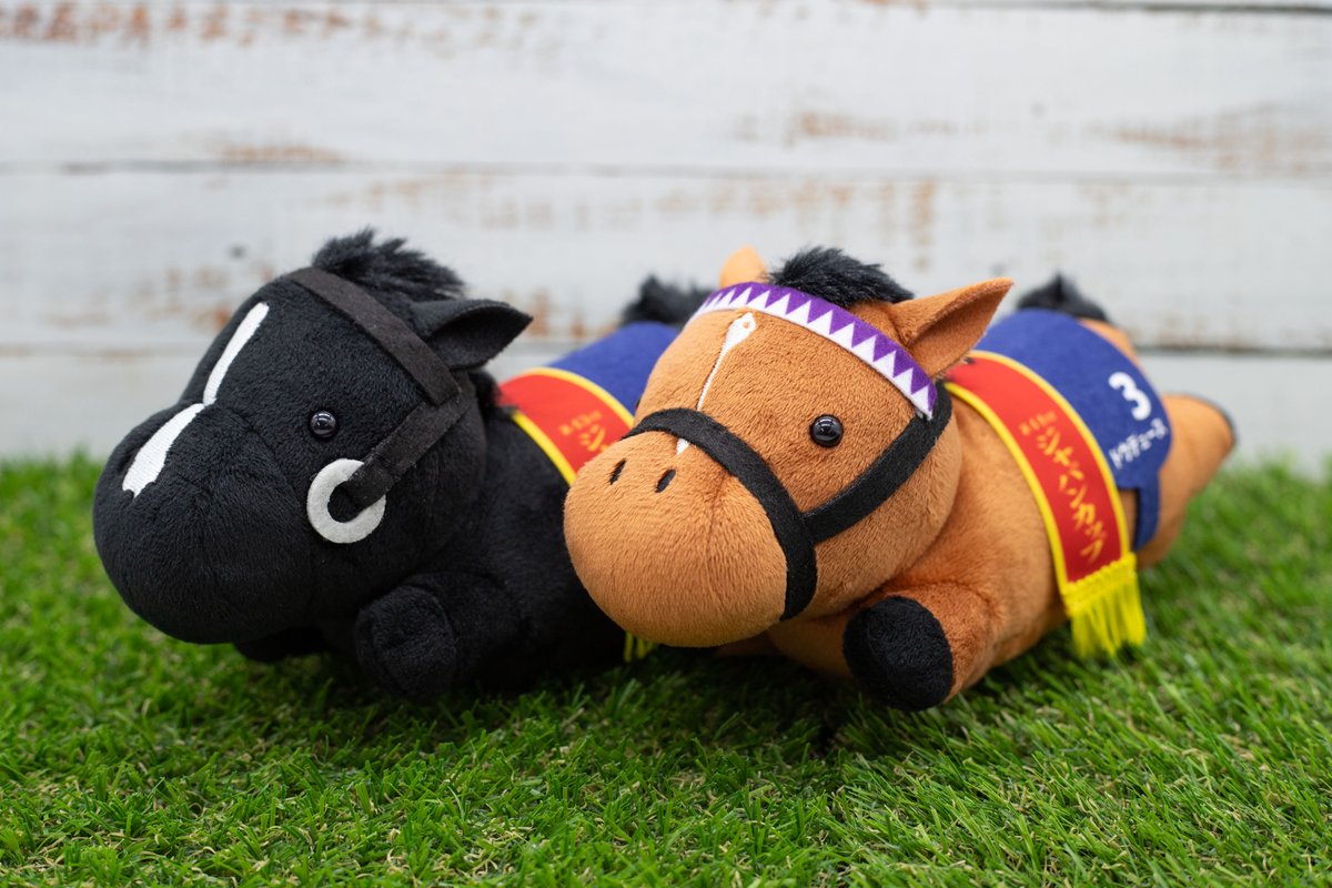 サラブレッドコレクション【公式】 (@sarakore_info) / Posts / X